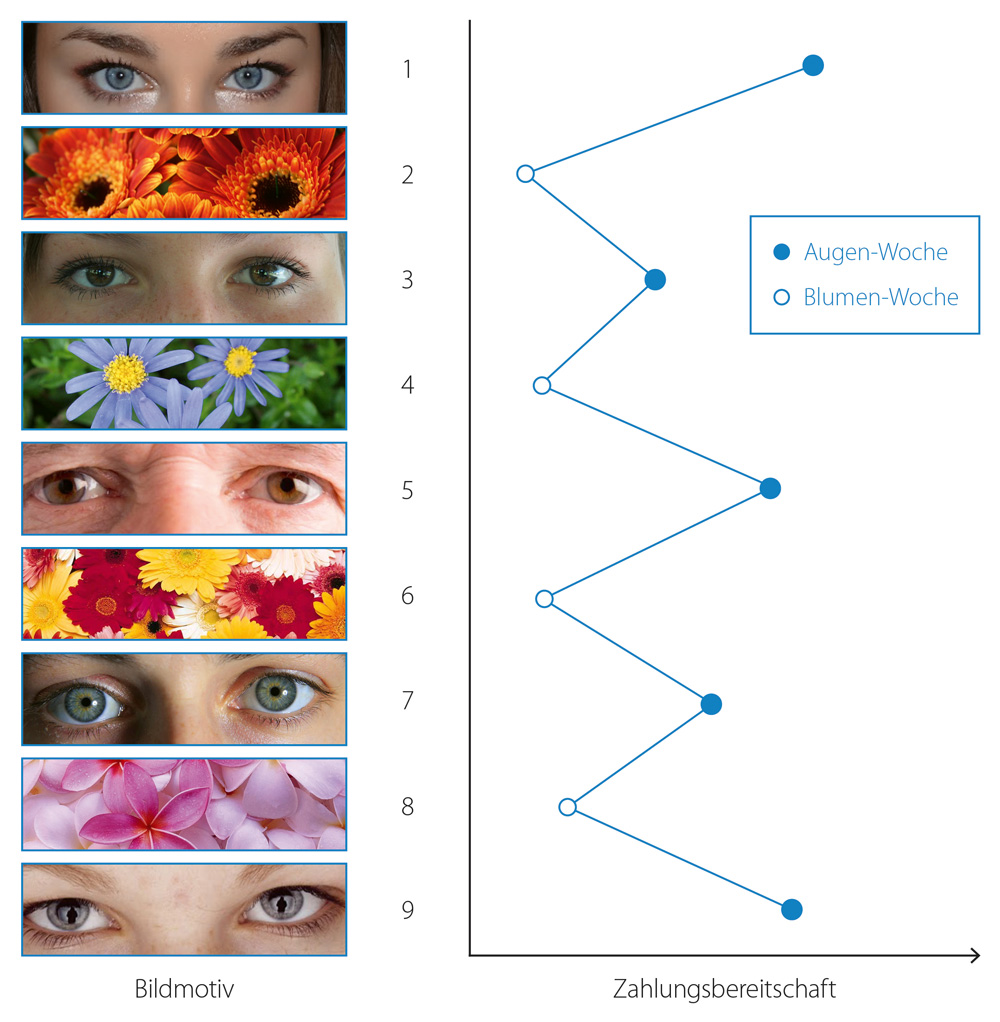 experiment augen und blumen